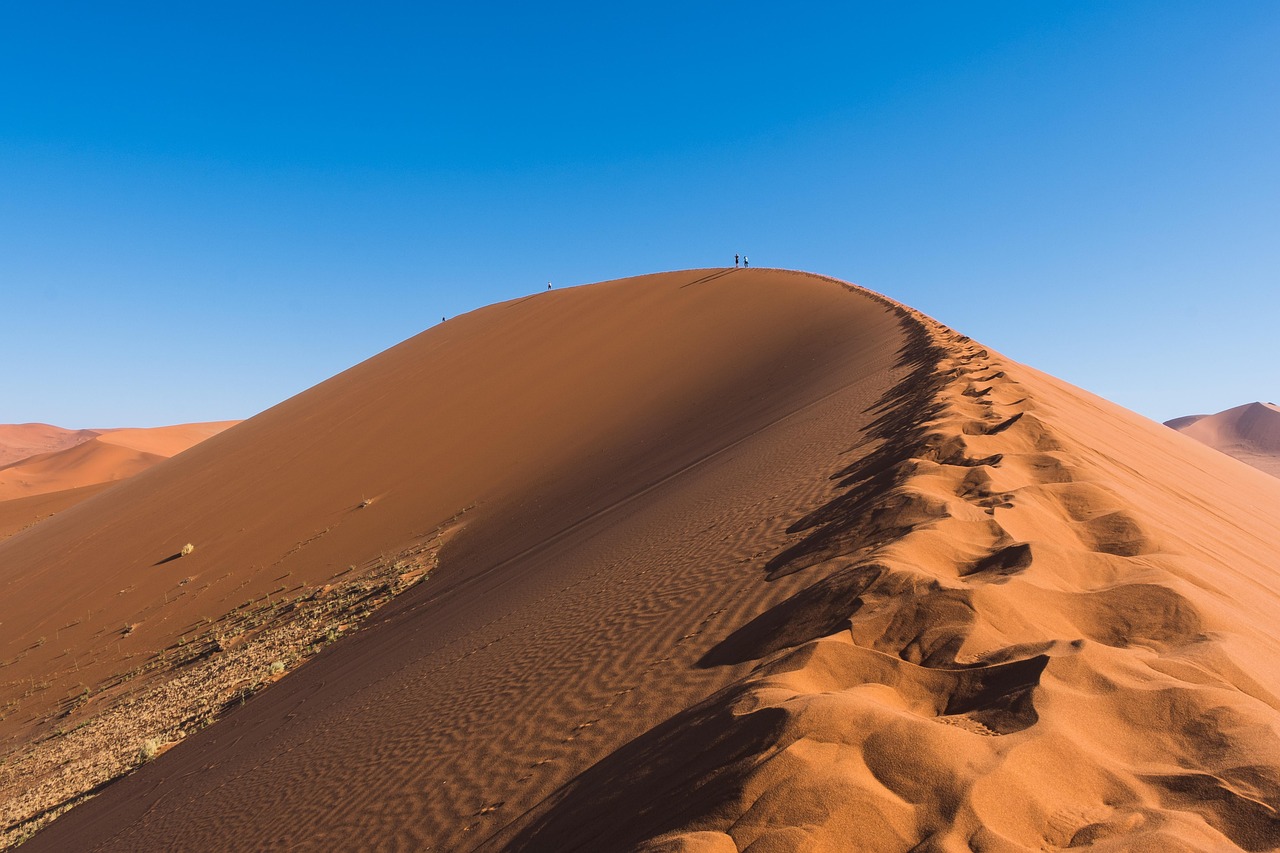 découvrez les merveilles du voyage en afrique : paysages époustouflants, cultures riches et aventures inoubliables vous attendent.