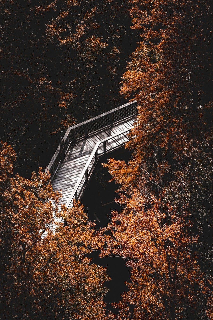 découvrez des randonnées mythiques à travers des paysages enchanteurs, des panoramas à couper le souffle et des chemins empreints de légendes. embarquez pour des aventures inoubliables au cœur de la nature.