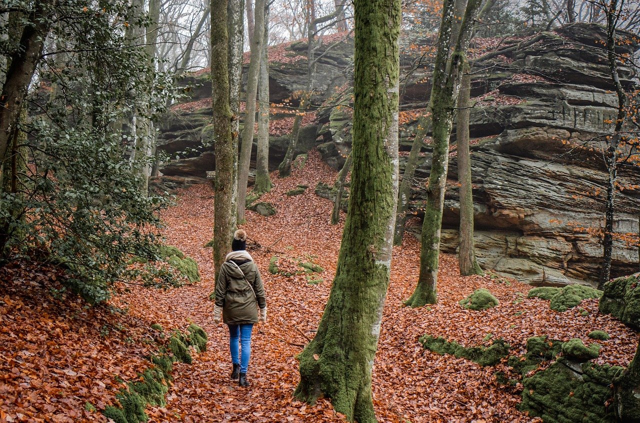 découvrez l'univers fascinant de la randonnée avec nos conseils pratiques, itinéraires variés et astuces pour profiter pleinement de vos excursions en pleine nature.
