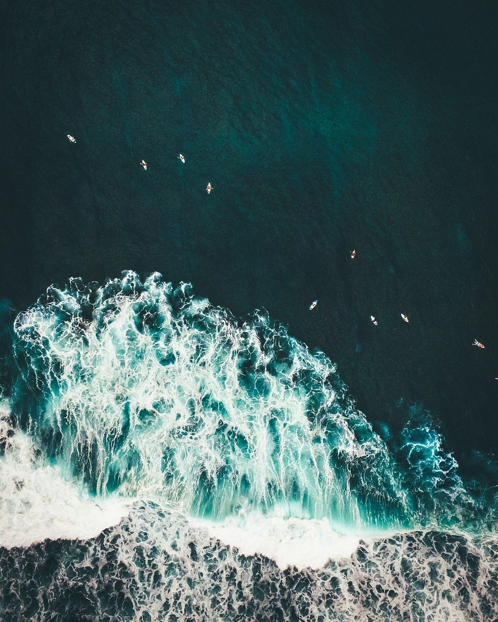 découvrez une multitude d'activités en plein air pour tous les amateurs d'aventure ! que vous soyez passionné de randonnée, de vélo, d'escalade ou de sports nautiques, profitez de la nature et rechargez vos batteries avec nos suggestions d'expériences inoubliables.