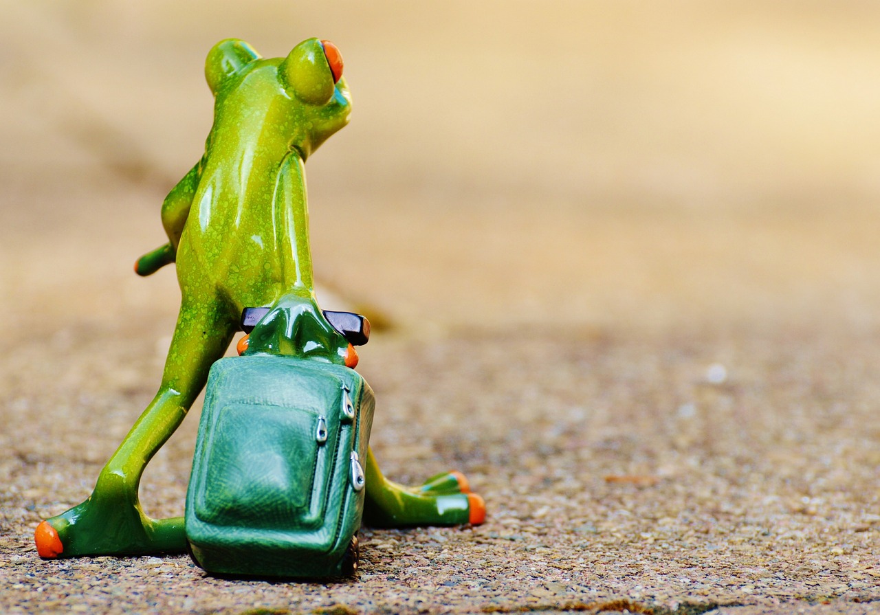 découvrez des idées de voyage, conseils pratiques et destinations incontournables pour vos prochaines aventures.