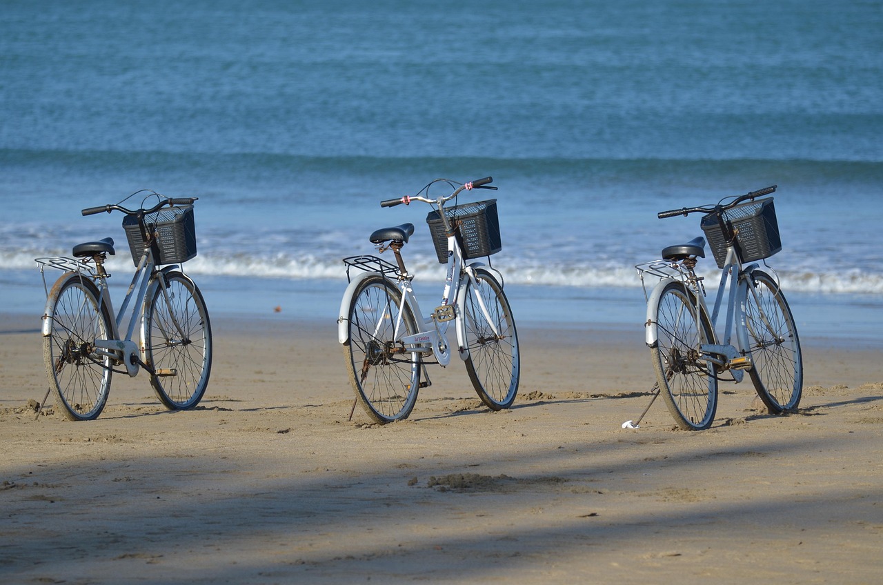 louez facilement un vélo adapté à vos besoins pour explorer la ville ou la campagne. découvrez nos offres flexibles de location de vélos à prix abordables et profitez d’une expérience agréable en toute liberté.