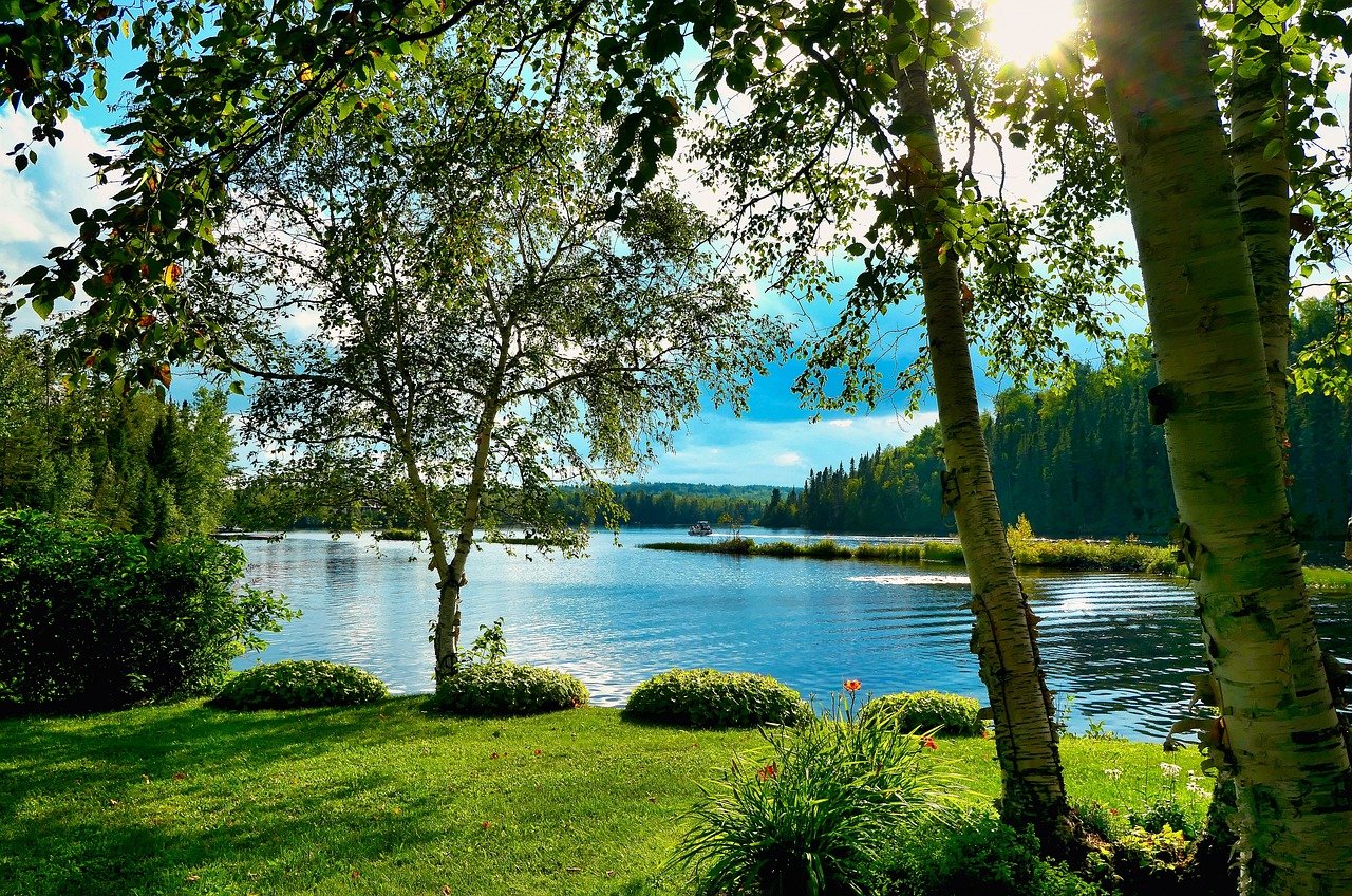 découvrez l'importance de la biodiversité pour notre planète. apprenez comment la richesse des espèces contribue à l'équilibre des écosystèmes et aux bienfaits pour l'humanité. engagez-vous pour la protection de la nature et la préservation de notre environnement.