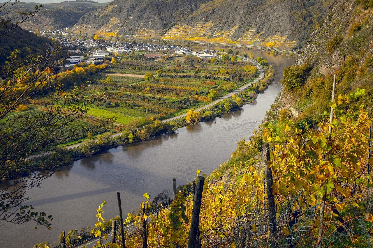 découvrez le circuit vinicole, une expérience immersive au cœur des vignobles. explorez les terroirs, dégustez des crus d'exception et apprenez des secrets de la vinification. parfait pour les amateurs de vin et les aventuriers gastronomiques!