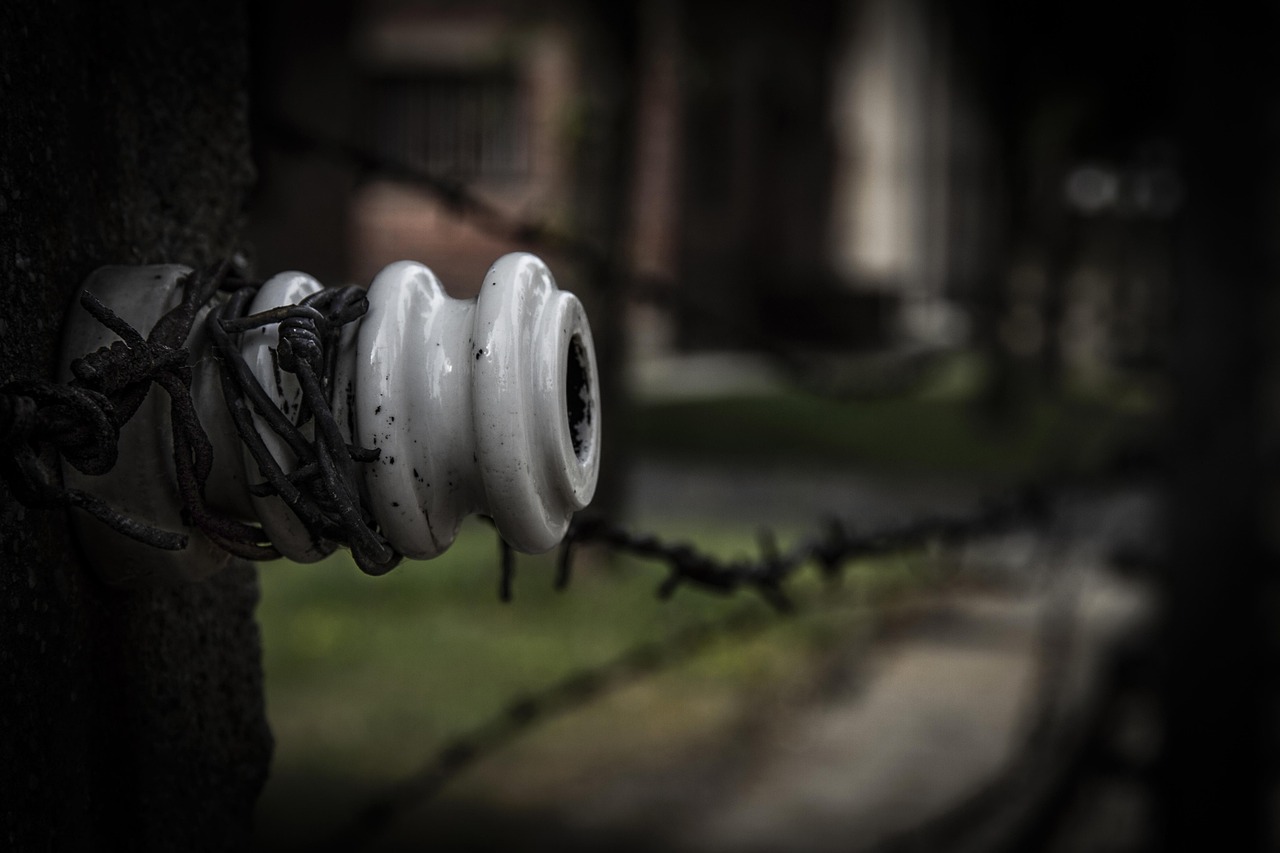 découvrez l'histoire poignante du camp d'auschwitz lors d'une visite guidée émouvante, pour mieux comprendre les événements de la seconde guerre mondiale et rendre hommage aux victimes.
