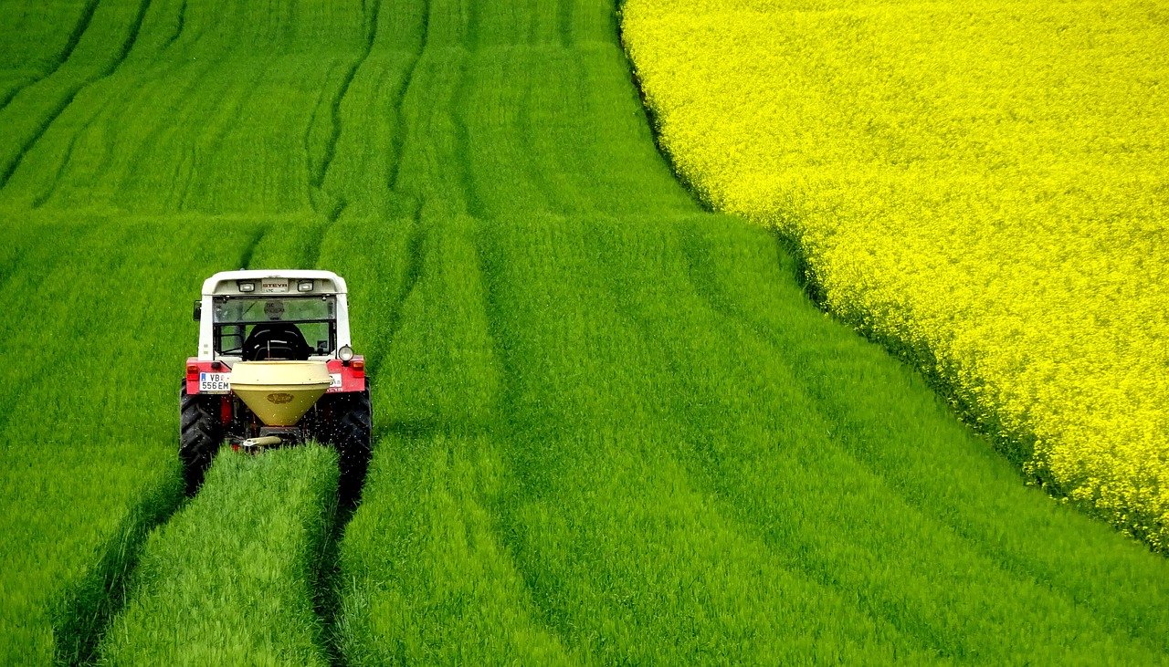 découvrez le monde fascinant de la récolte : techniques, outils, et traditions qui façonnent la cueillette des fruits et légumes. plongez dans l'univers de l'agriculture durable et des savoir-faire ancestraux.