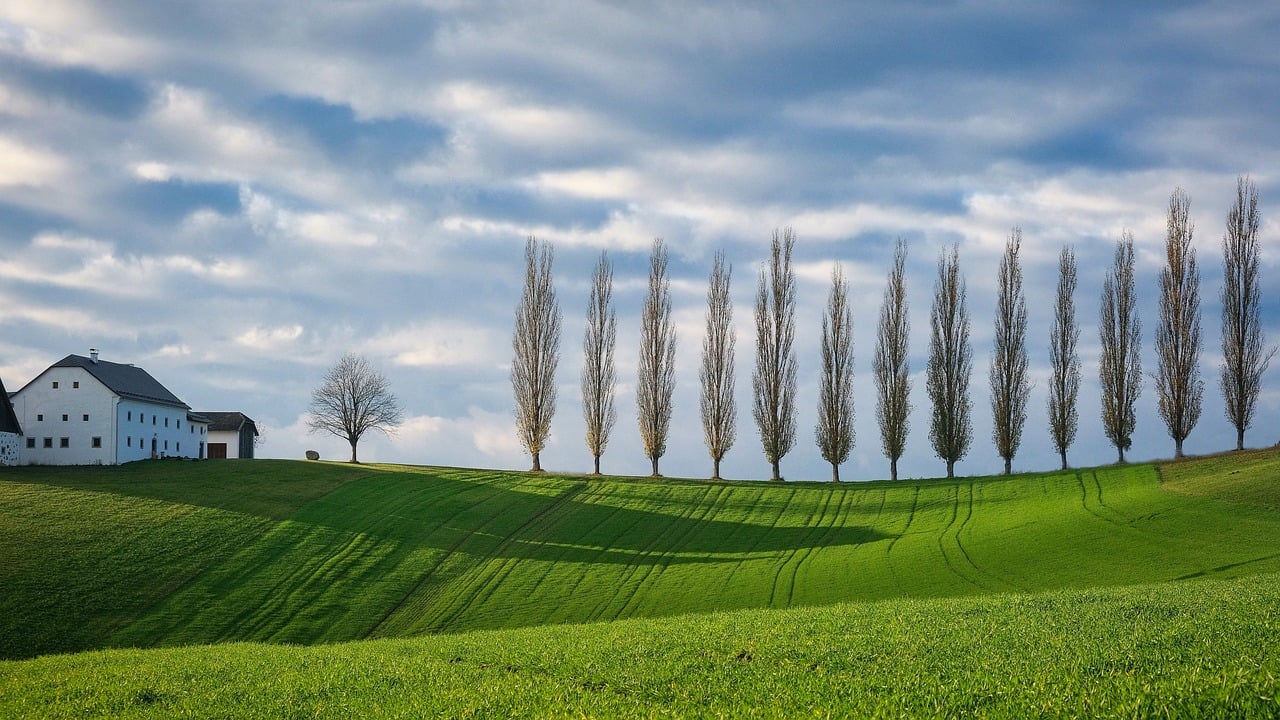 découvrez la beauté des paysages à travers le monde, des montagnes majestueuses aux plages ensoleillées. explorez la diversité naturelle et les panoramas à couper le souffle qui inspirent voyageurs et rêveurs.