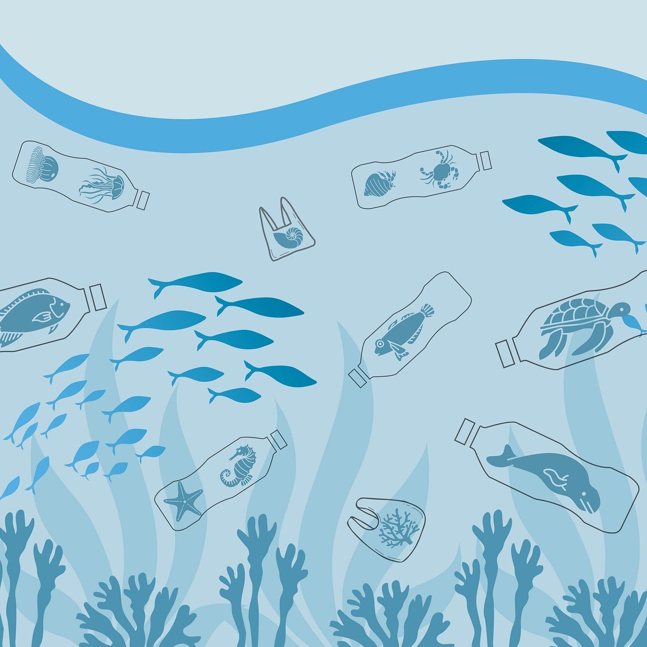 découvrez l'importance de la protection des océans, ses impacts sur notre environnement et les actions nécessaires pour préserver la biodiversité marine et assurer un avenir durable pour les générations futures.