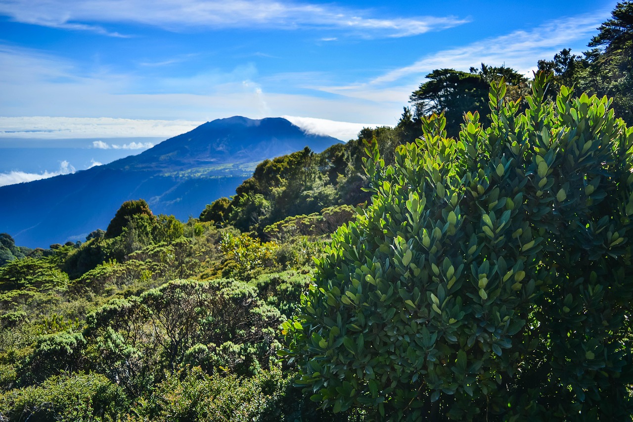 découvrez les meilleurs conseils de voyage pour le costa rica : astuces pratiques, endroits incontournables et conseils pour une aventure inoubliable.