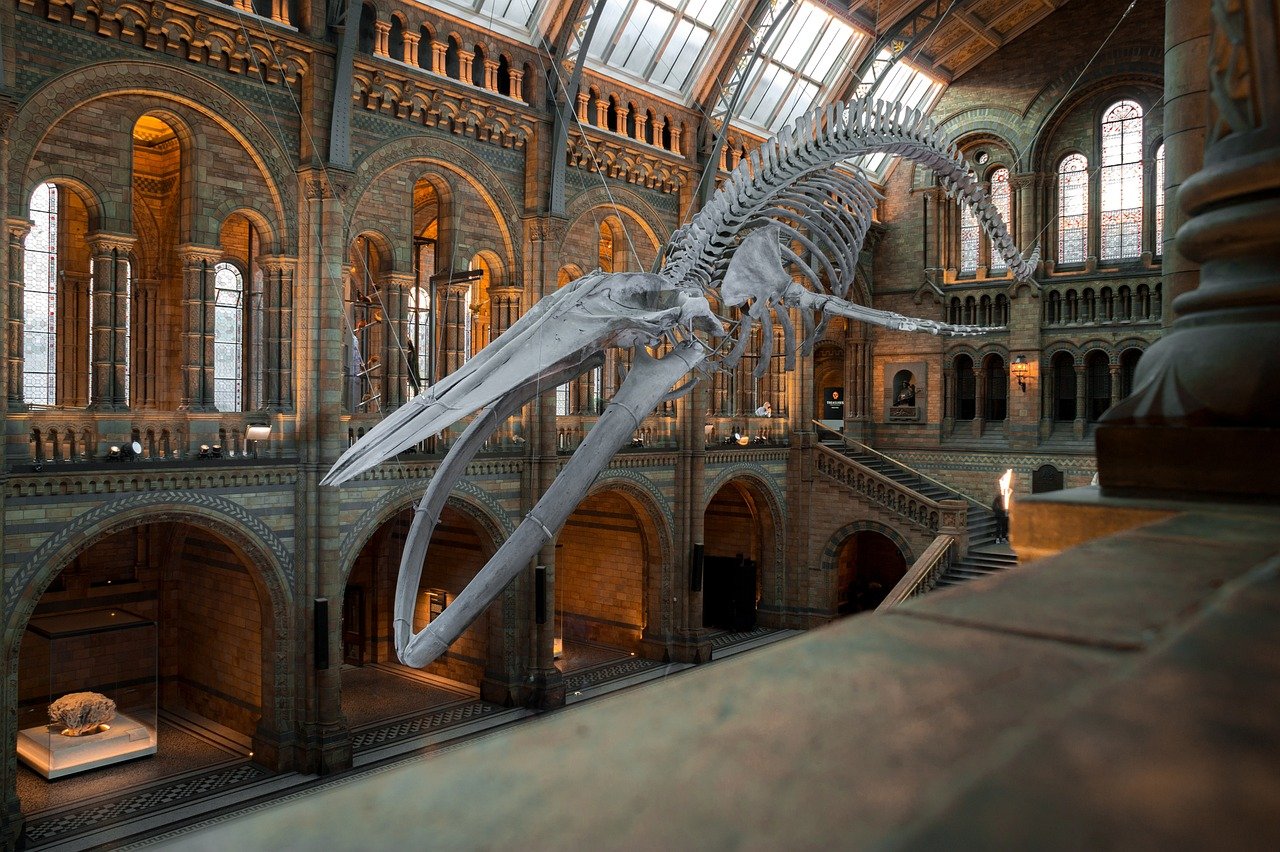 découvrez l'univers fascinant des musées, des trésors d'art aux expositions historiques. plongez dans la culture et l'histoire à travers des collections uniques, des visites interactives et des événements passionnants. explorez les musées qui éveillent votre curiosité et enrichissent vos connaissances.