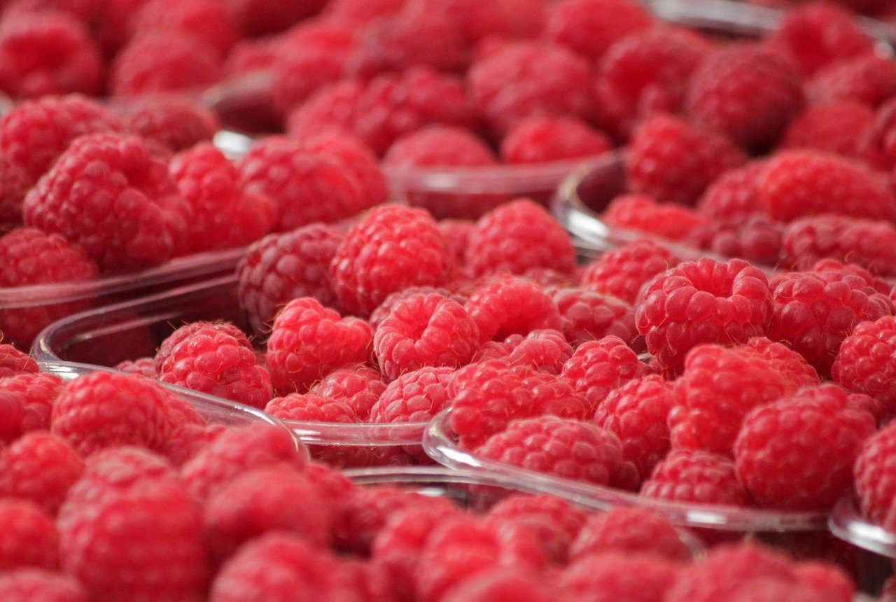 découvrez les saveurs locales et l'authenticité des produits frais au marché des fermiers. rencontrez les producteurs, dégustez des spécialités artisanales et soutenez l'agriculture durable tout en passant un moment convivial en plein air.