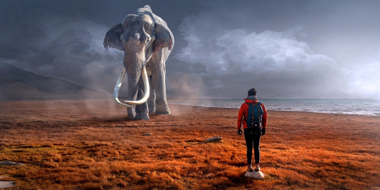 découvrez des rencontres authentiques qui enrichissent votre vie et vous connectent à des expériences uniques. plongez dans des interactions sincères et des moments inoubliables.