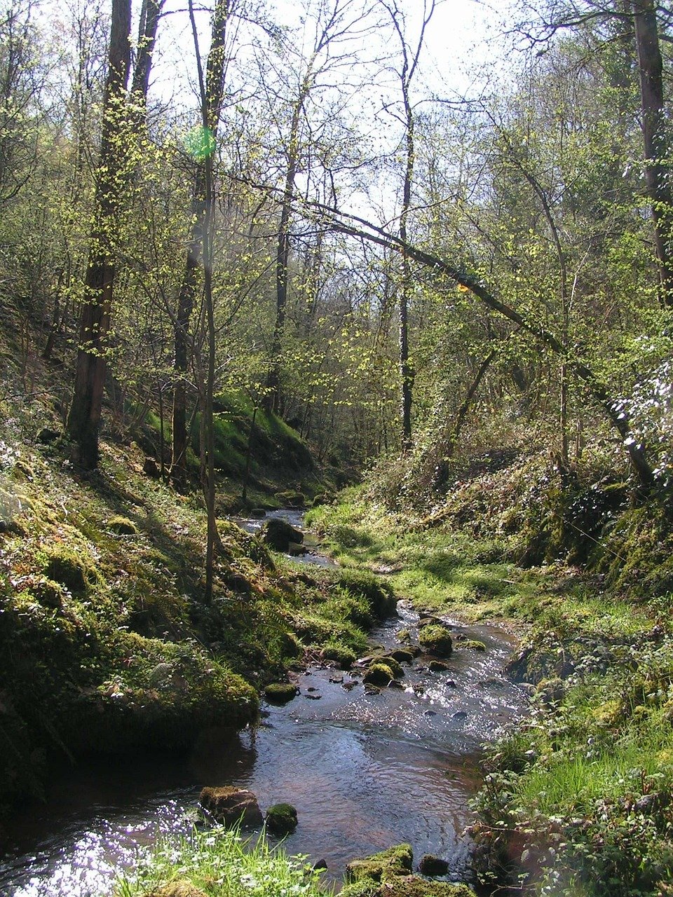 découvrez la corrèze, un département français riche en paysages naturels, culturels et historiques. émerveillez-vous devant ses magnifiques villages, ses rivières paisibles et son patrimoine exceptionnel. idéal pour les amoureux de la nature et de l'authenticité.