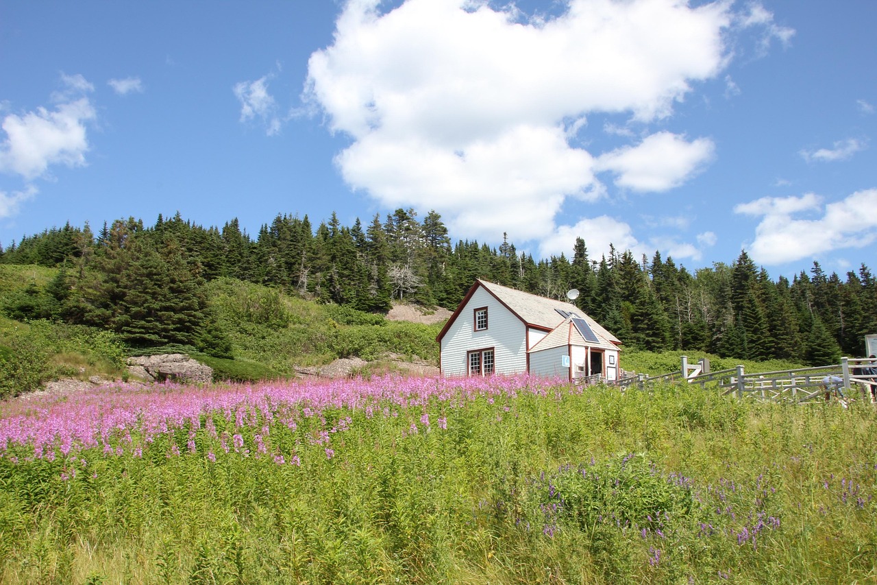 découvrez la gaspésie, une région magnifique du québec réputée pour ses paysages grandioses, ses parcs nationaux, ses villages côtiers charmants et ses activités de plein air, idéale pour des vacances inoubliables.