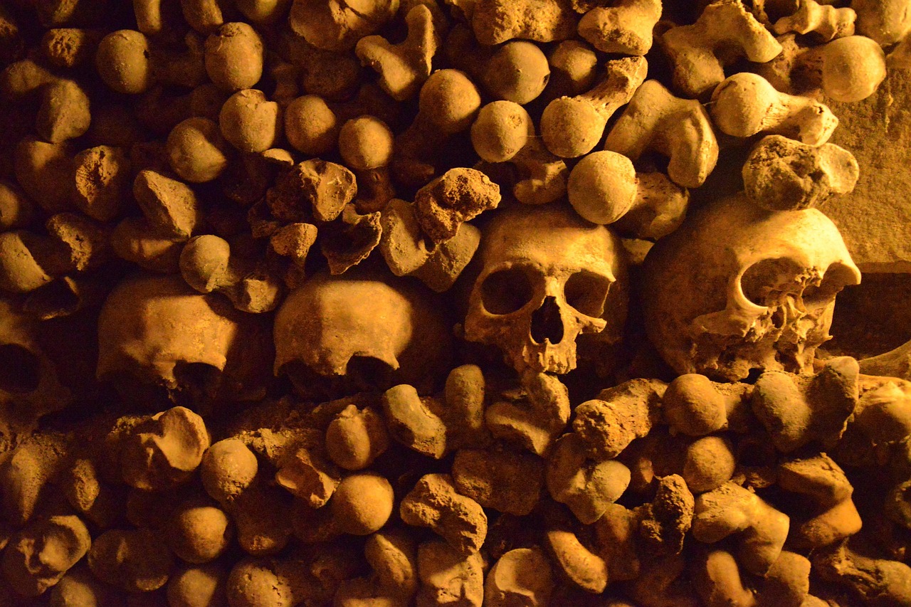découvrez les meilleures destinations pour célébrer halloween, des villes hantées aux festivals effrayants, et vivez une expérience inoubliable pleine de mystères et de frissons.