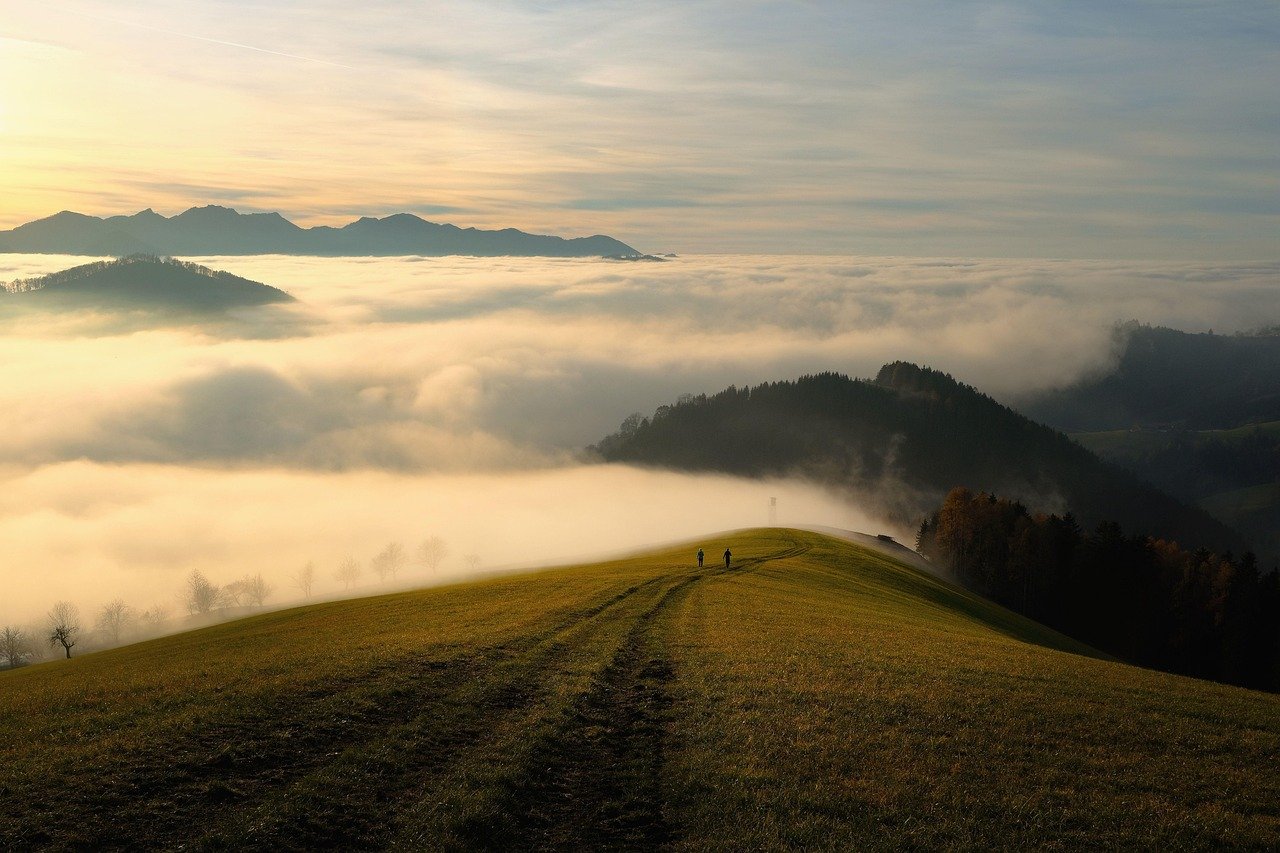 découvrez les sentiers enchantés, une expérience immersive au cœur de paysages féeriques. partez à l'aventure dans des lieux magiques où la nature et l'imaginaire se rencontrent, offrant des moments inoubliables pour les amateurs de randonnée et de découverte.