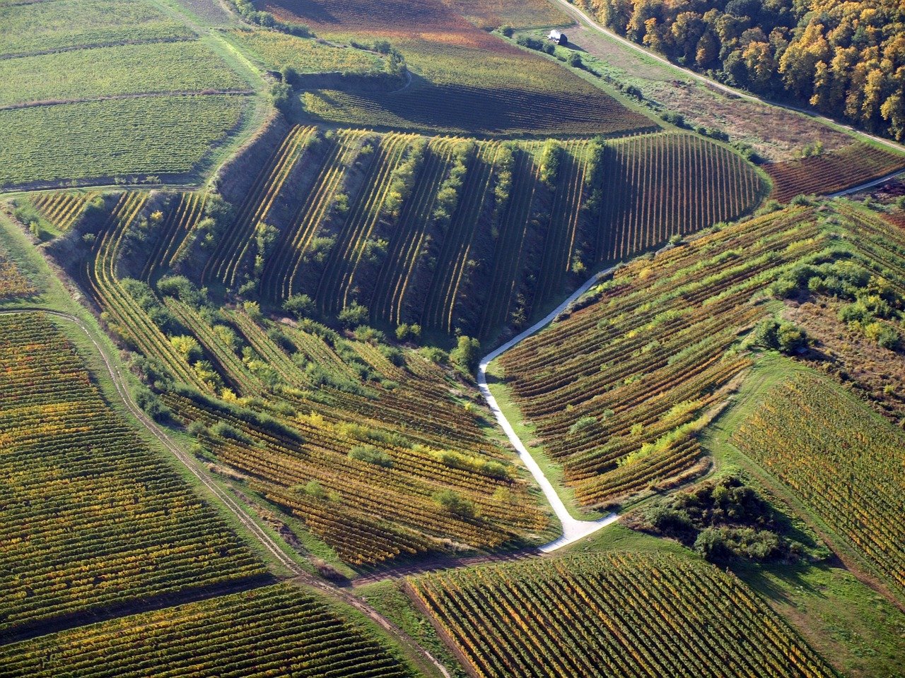 découvrez les différentes régions viticoles du monde, de la bourgogne à bordeaux, en passant par la napa valley et la toscane. explorez les cépages uniques, les traditions viticoles et les paysages magnifiques qui font de chaque région un trésor à déguster.