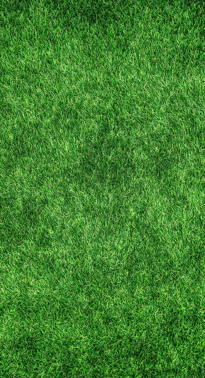 découvrez des hôtels éco-responsables qui allient confort et respect de l'environnement. profitez d'un séjour agréable tout en participant à la préservation de notre planète grâce à des pratiques durables et éthiques.