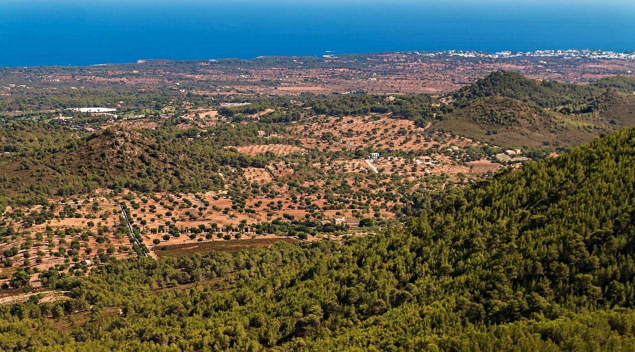 découvrez majorque, la plus grande île des baléares, célèbre pour ses plages magnifiques, ses villages pittoresques et sa richesse culturelle. partez à la découverte de cette destination méditerranéenne idéale pour des vacances inoubliables.
