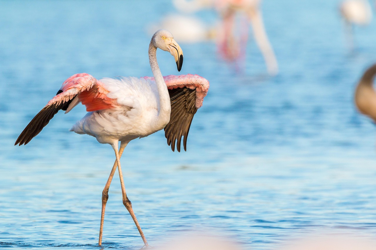 découvrez des destinations exotiques à travers le monde : plages paradisiaques, paysages enchanteurs et aventures hors du commun pour un voyage inoubliable.