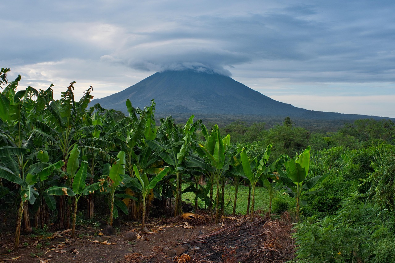 découvrez nos conseils pratiques pour voyager au nicaragua en toute sérénité : astuces, informations utiles et recommandations pour une expérience inoubliable.