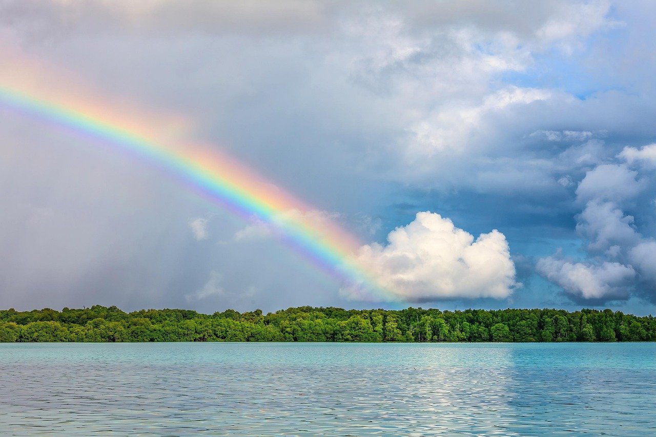 découvrez la beauté et la diversité de la nature à travers nos articles inspirants, explorant les paysages, la faune et la flore qui nous entourent. plongez dans un monde où chaque élément naturel raconte une histoire, et apprenez à apprécier et protéger notre planète.