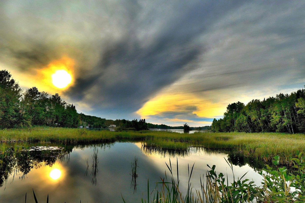 découvrez l'importance de la biodiversité pour notre planète. explorez comment la diversité des espèces et des écosystèmes joue un rôle crucial dans le maintien de l'équilibre écologique, la lutte contre le changement climatique et la préservation des ressources naturelles. engagez-vous pour un avenir durable en protégeant notre riche patrimoine naturel.