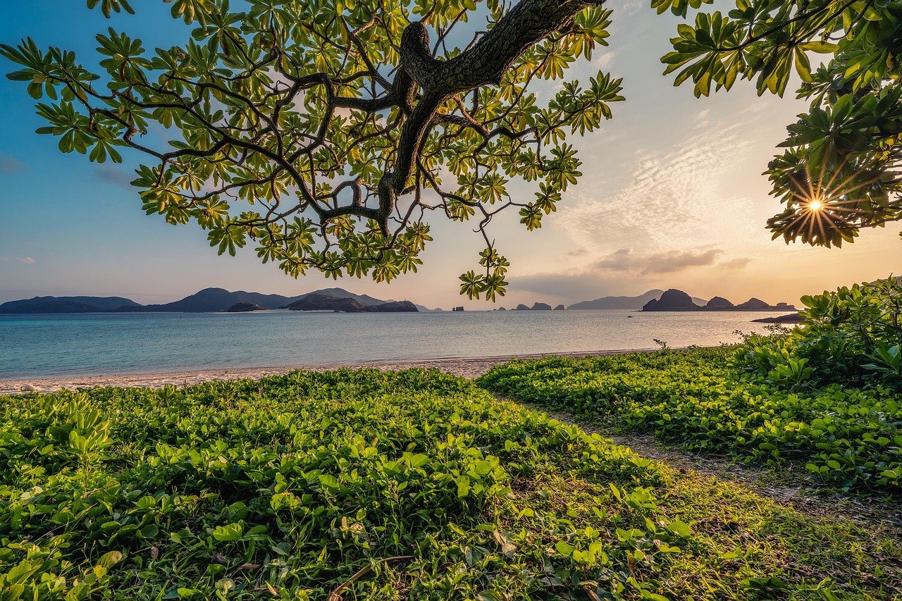 découvrez la beauté et la diversité de la nature à travers des paysages époustouflants, une faune fascinante et une flore luxuriante. explorez des conseils pour profiter pleinement des trésors naturels qui nous entourent.