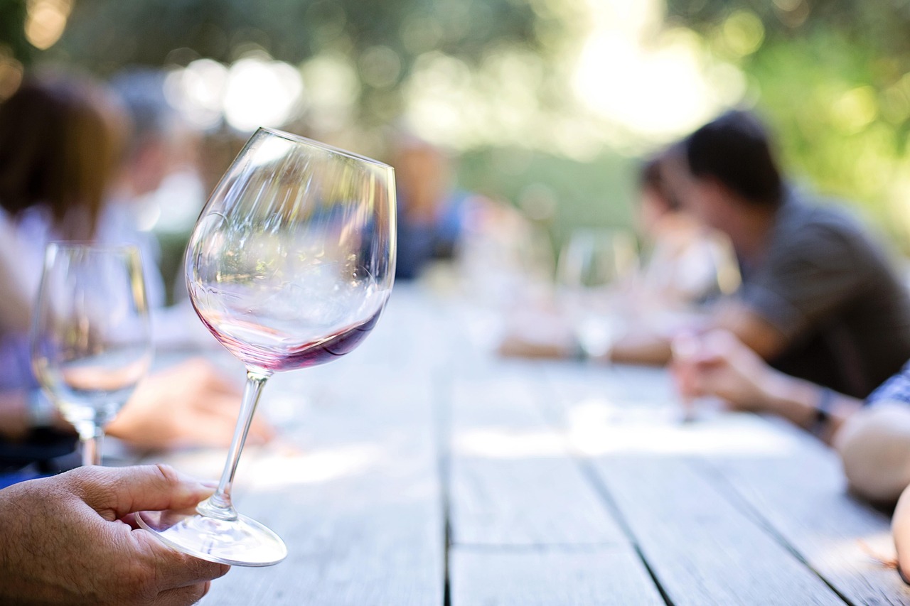 Dégustation de vin : les secrets des caves à vin de France