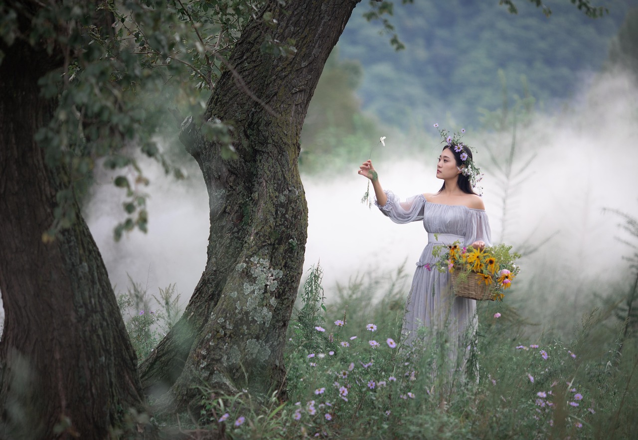 La beauté de la nature en Corrèze