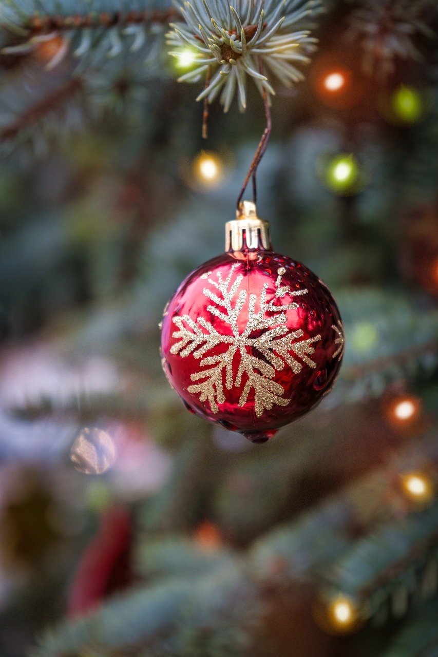 Mon expérience immersive : Découverte de Noël en Alsace 2024 !