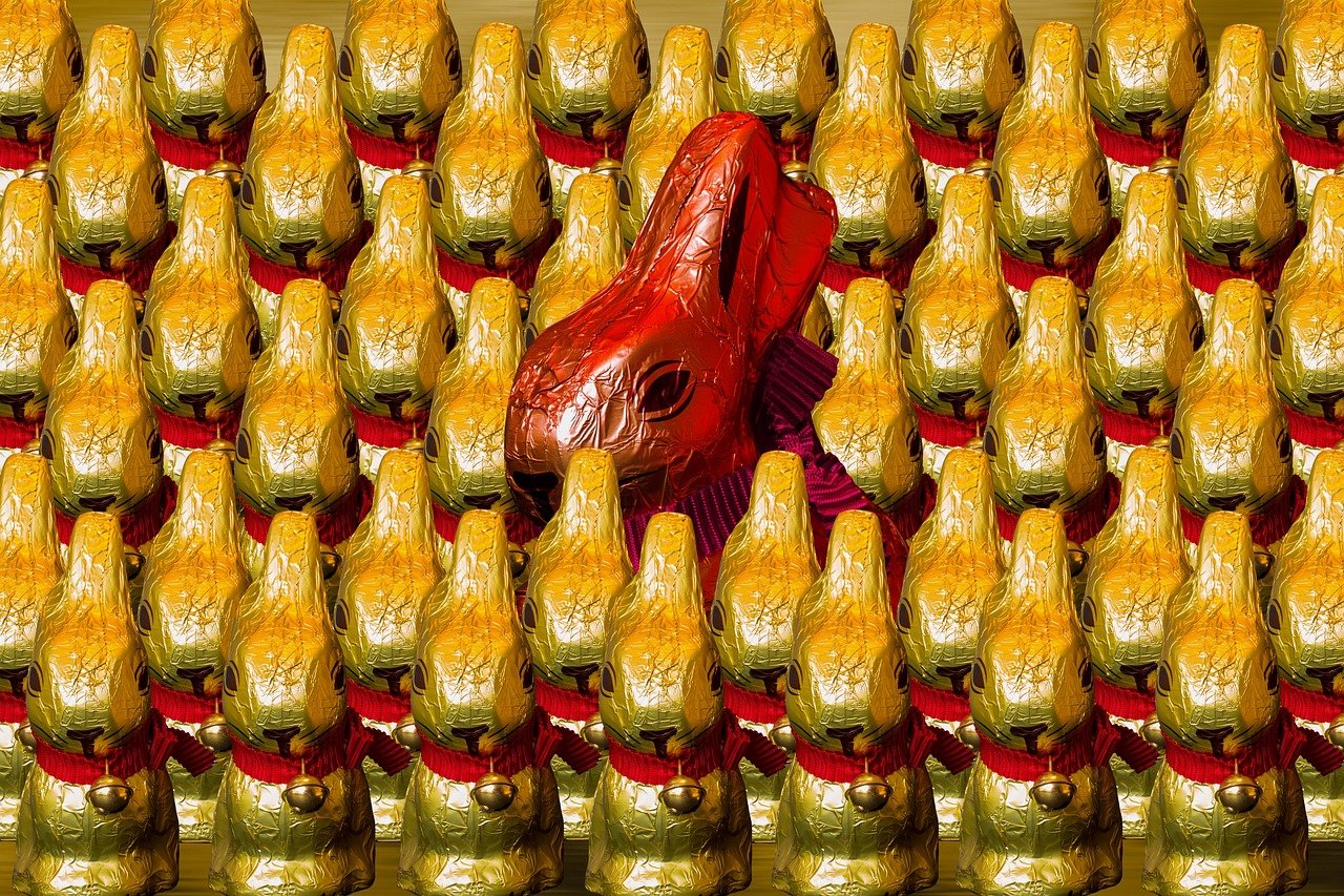 Un festival vibrant de musique et de saveurs pakistanaises : une célébration culturelle à Tunis