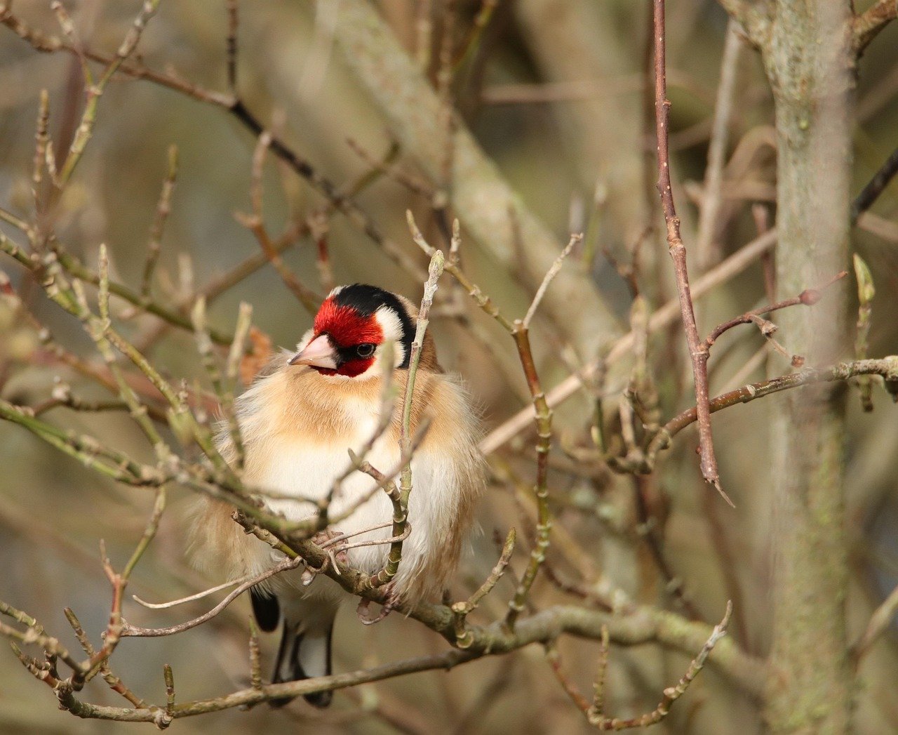 Nature préservée : À la découverte des trésors cachés de la région