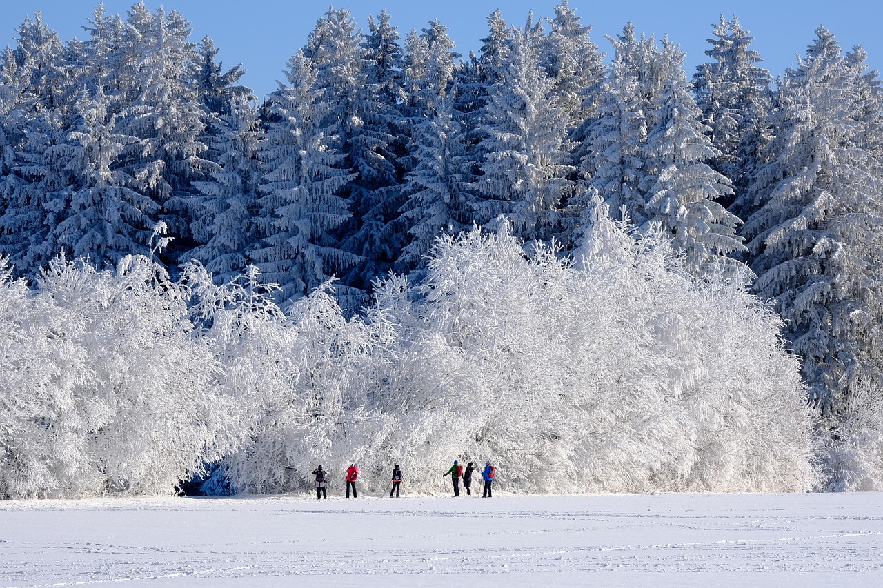 Les 5 meilleures escapades hivernales à découvrir sur la route