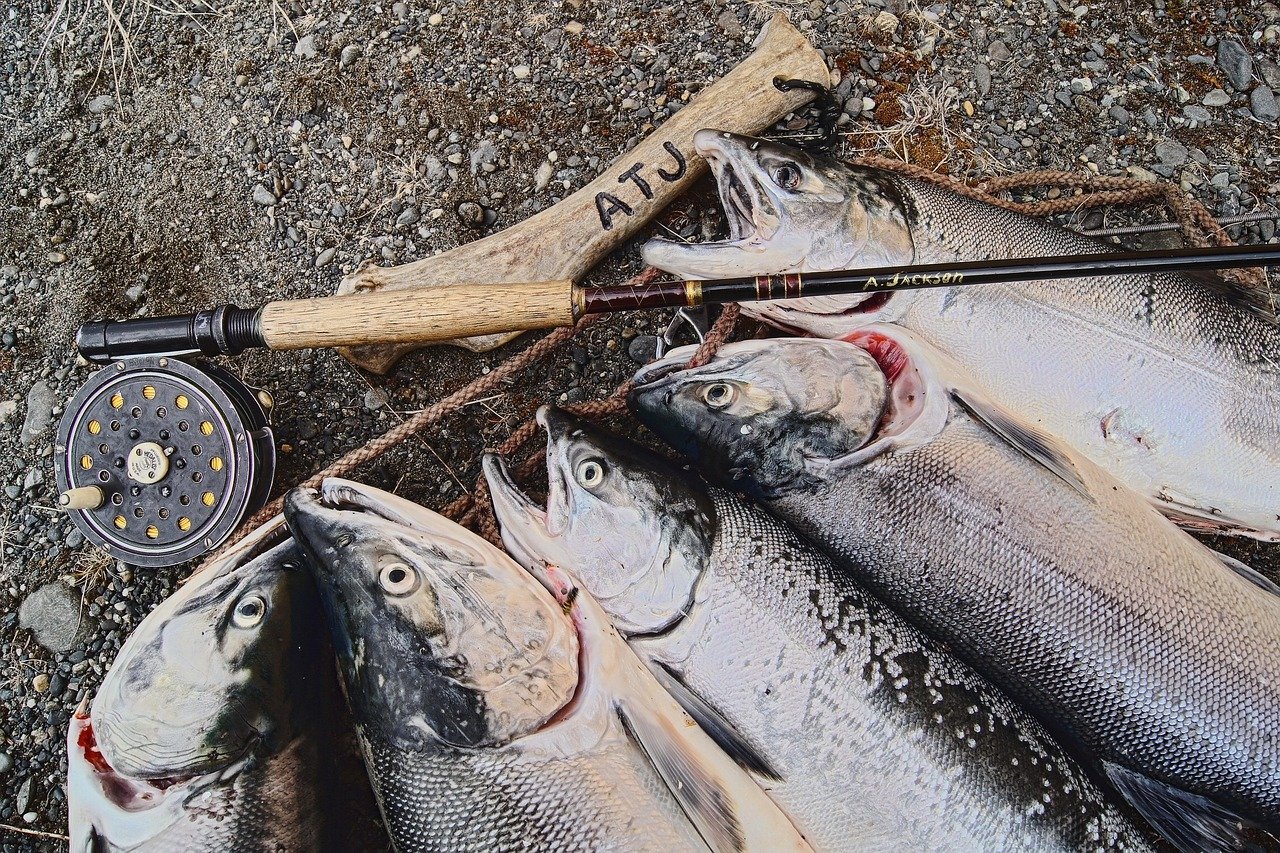Où faire de la pêche à la mouche en France