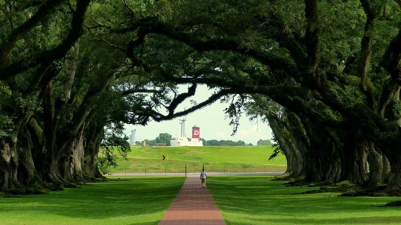 Exploration époustouflante : un road-trip de 10 jours à travers les merveilles de la Louisiane
