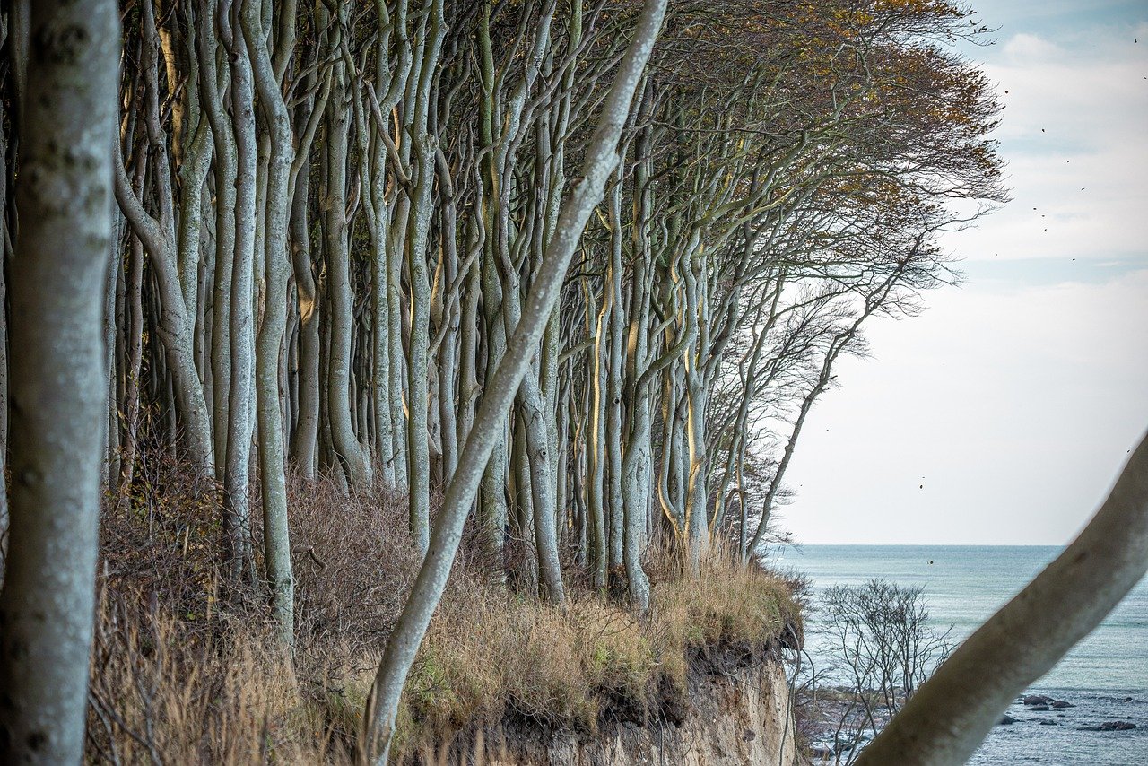 Correze : une escapade authentique au cœur de la nature