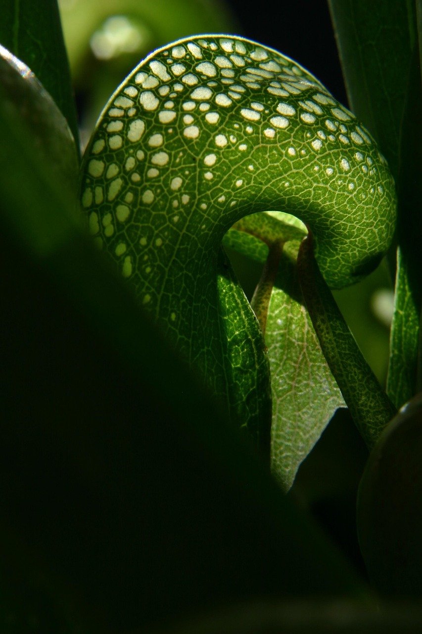 Costa Rica : 10 pièges à éviter lors de votre voyage