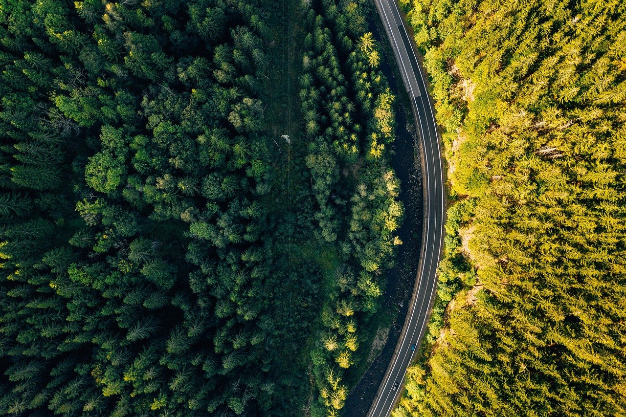 Les conseils pour un road trip réussi