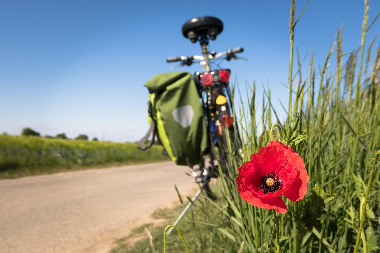 Vélo : Guide complet pour bien choisir et entretenir votre bicyclette