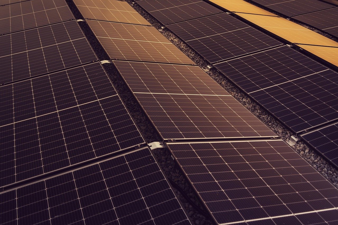 Durabilité : les initiatives écologiques à découvrir en Corrèze
