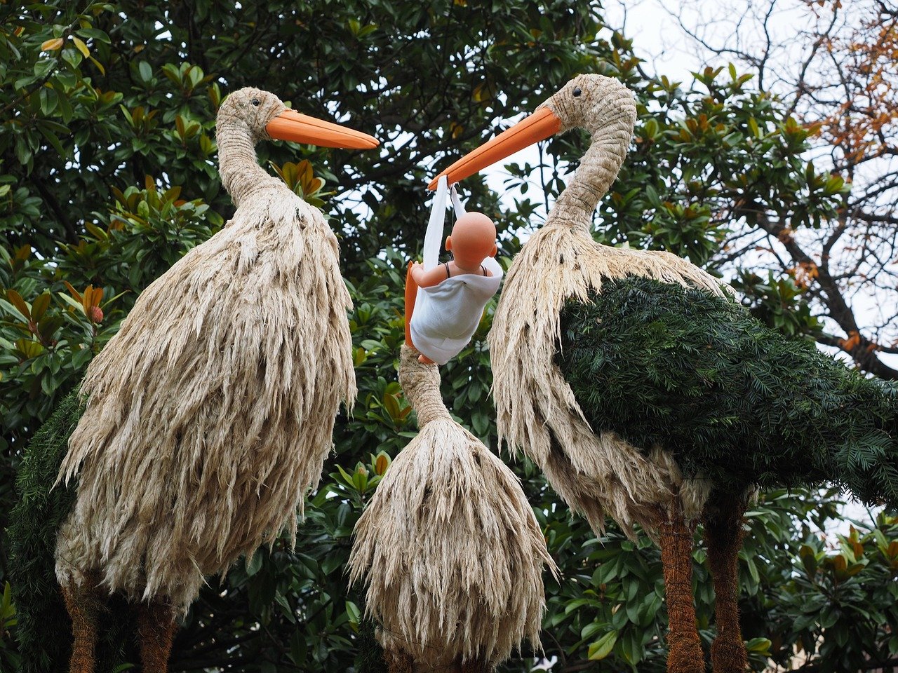 Rituels de fertilité : traditions liées à la nature