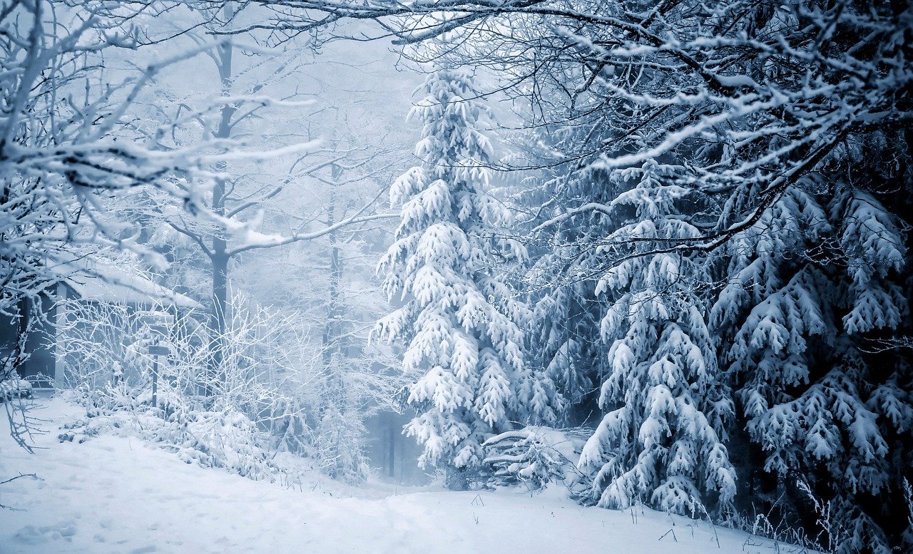 Analyse préliminaire de la campagne hivernale ‘Nice Côte d’Azur