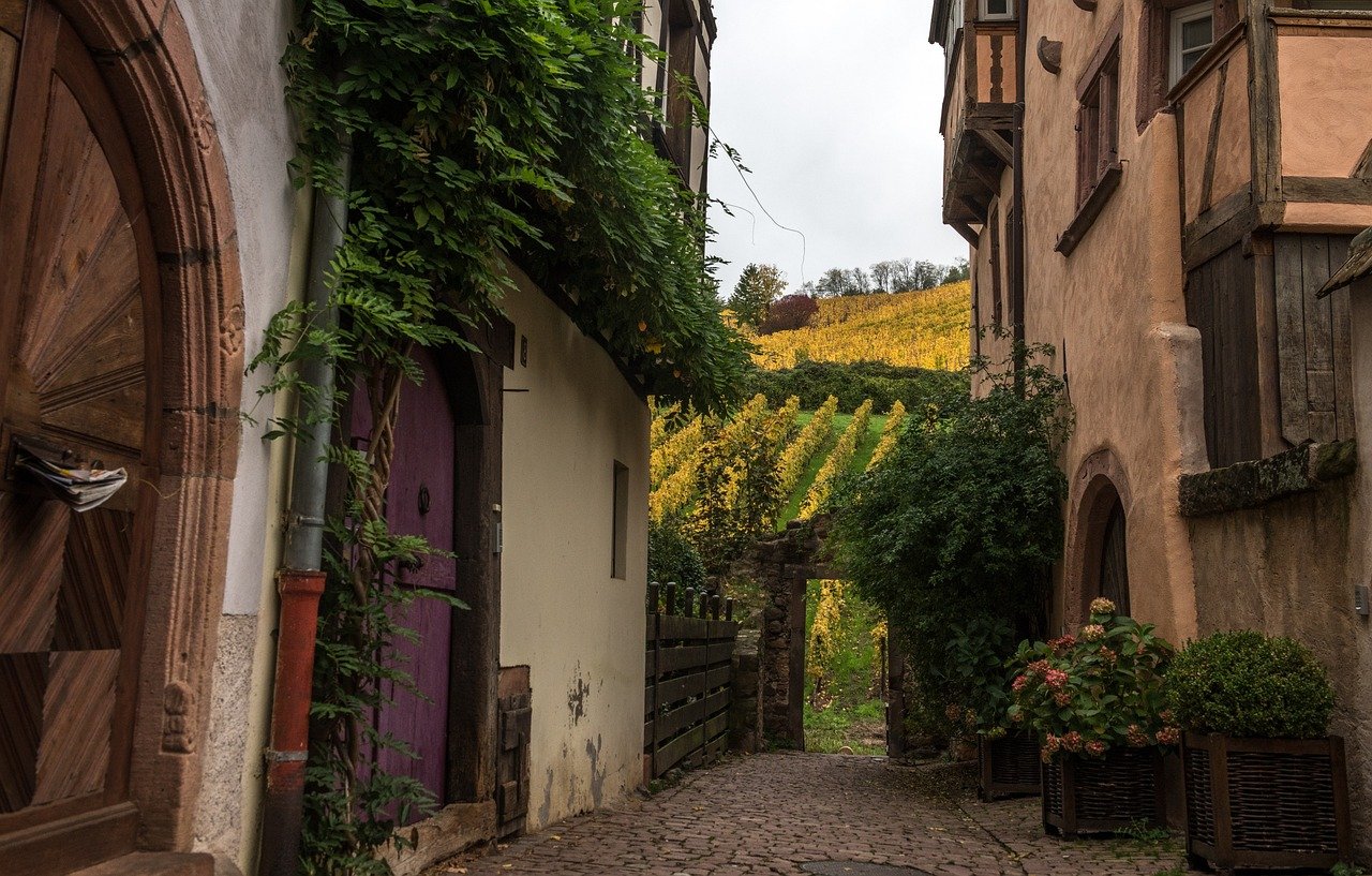 Explorez les saveurs de l’Alsace avec Gigi et Toto, deux blogueurs gastronomiques