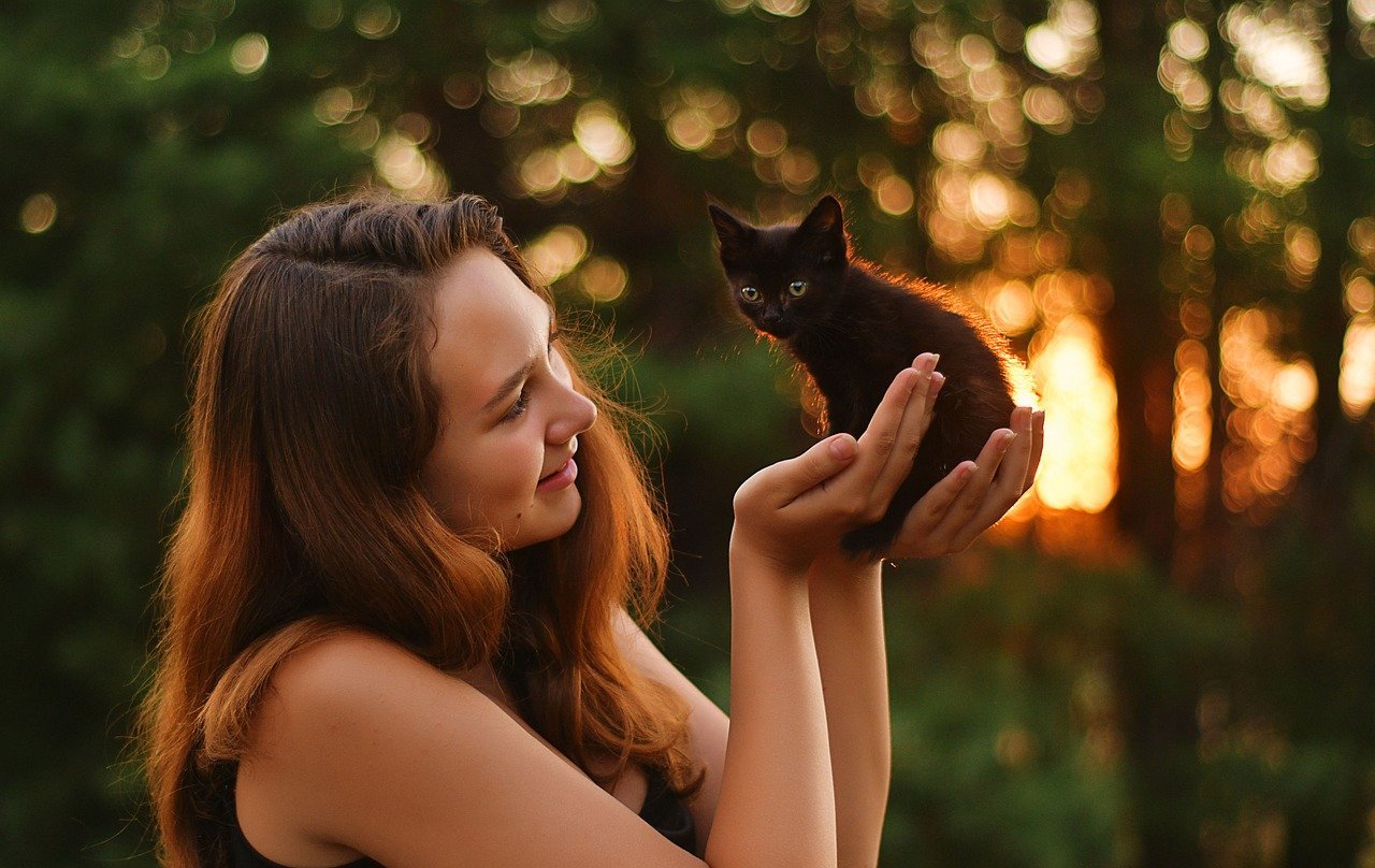 Comment voyager avec un animal de compagnie ?