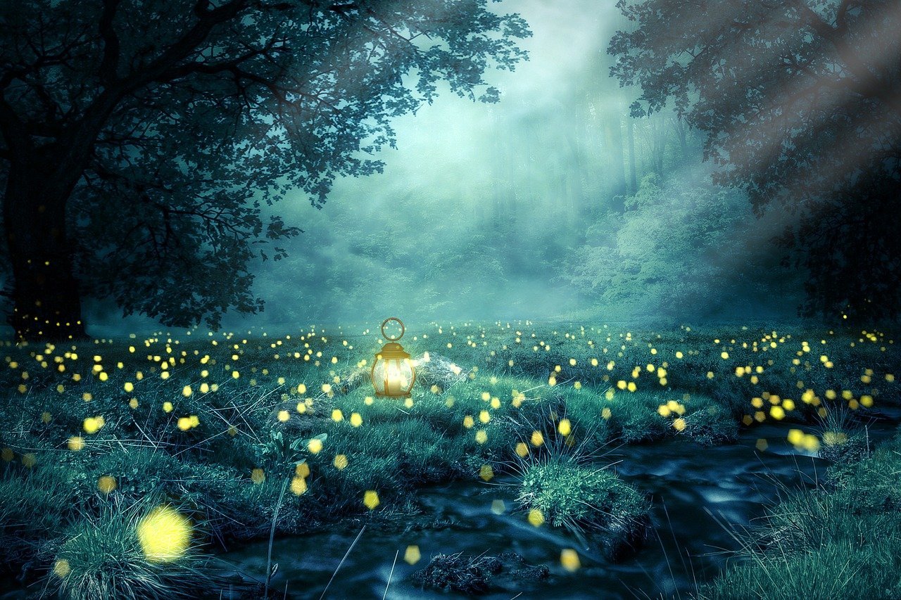 Trails enchanteurs : Explorez les sentiers secrets de la nature