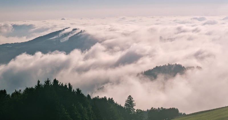 Forêt Noire en Allemagne : 10 merveilles à ne pas manquer