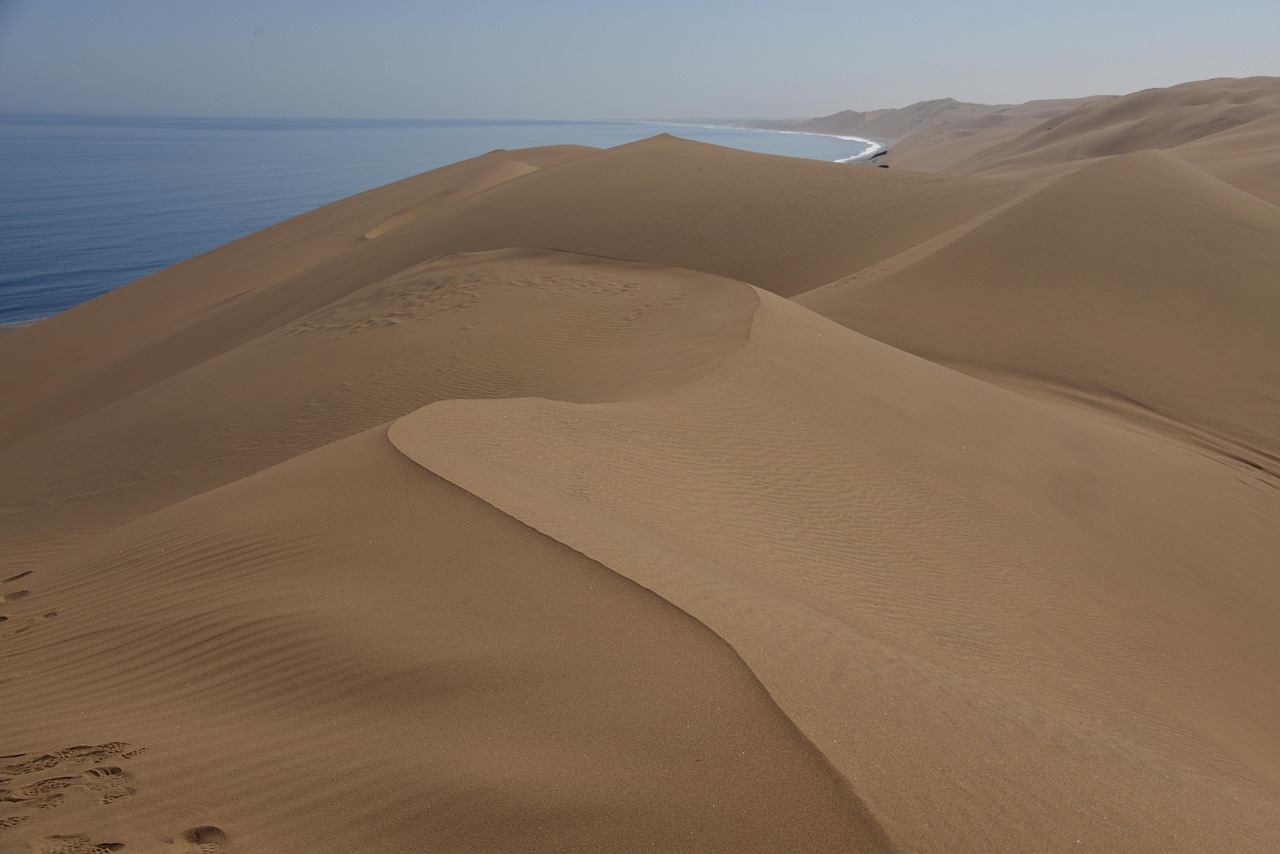 Thalassa : À la découverte des rivages indomptés de Namibie avec Diego Buñuel sur France 5