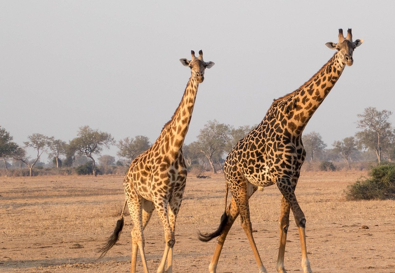 Écotourisme : À la découverte des trésors cachés de la nature française