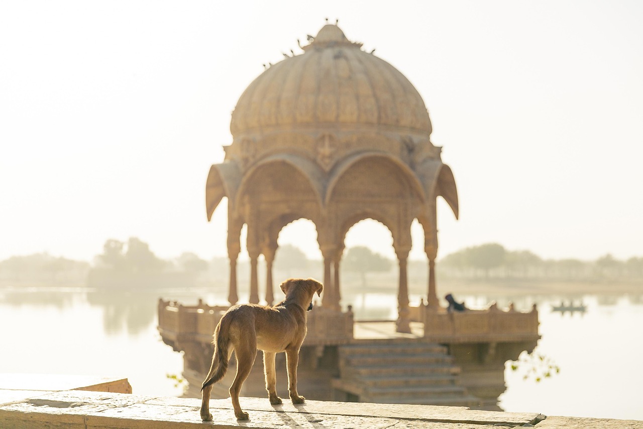 Guide Pratique et Précautions Essentielles pour Voyager en Inde